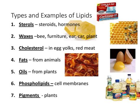 examples of lipids